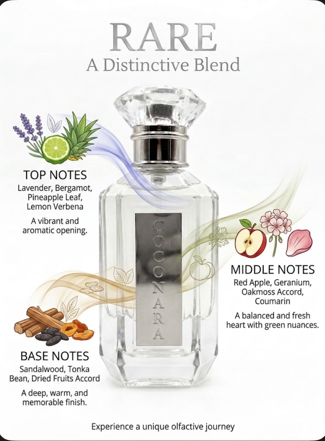 RARE PARFUM